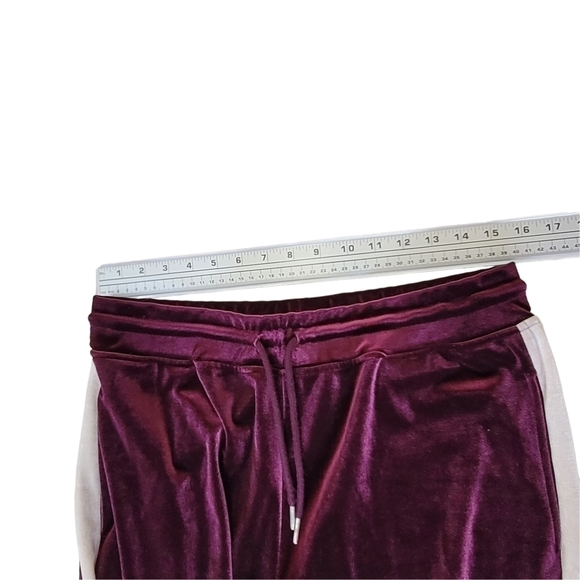 BLUENOTE Matching Purple Velvet Joggers And Hoodie Women Size L - Picture 16 of 16